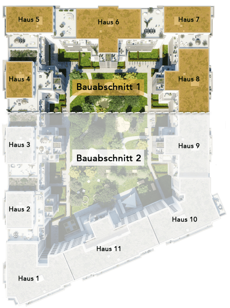 Kleyers Frankfurt construction phases